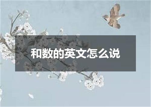 和数的英文怎么说