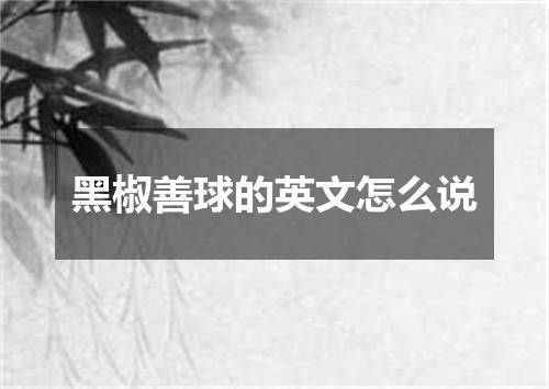 黑椒善球的英文怎么说
