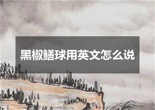 黑椒鳝球用英文怎么说