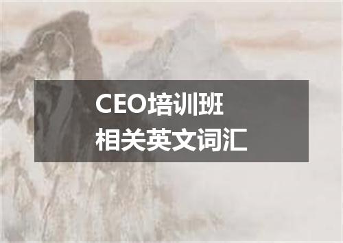 CEO培训班相关英文词汇