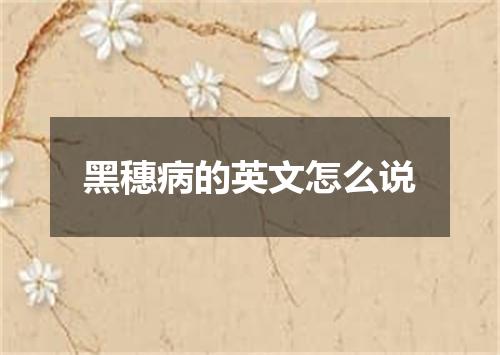 黑穗病的英文怎么说
