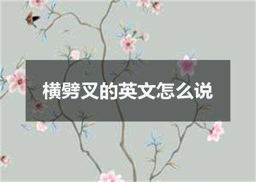 横劈叉的英文怎么说