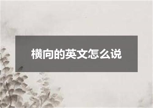 横向的英文怎么说