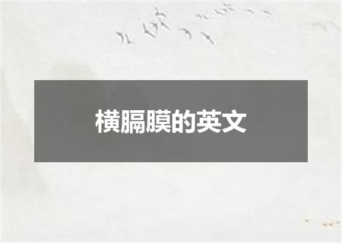 横膈膜的英文