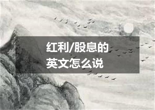 红利/股息的英文怎么说