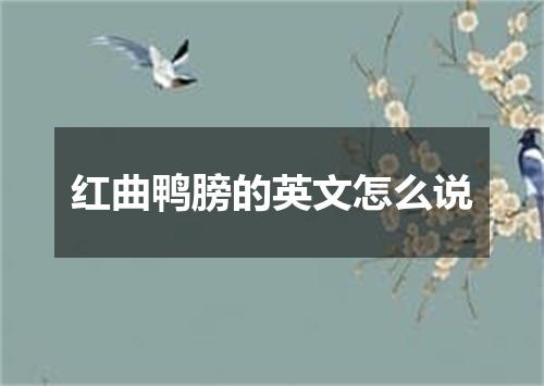 红曲鸭膀的英文怎么说