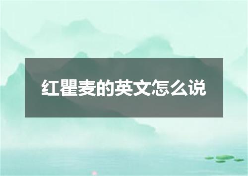 红瞿麦的英文怎么说