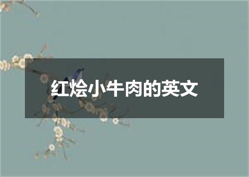 红烩小牛肉的英文