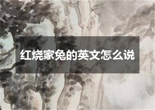 红烧家兔的英文怎么说