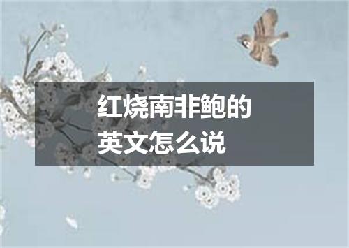 红烧南非鲍的英文怎么说