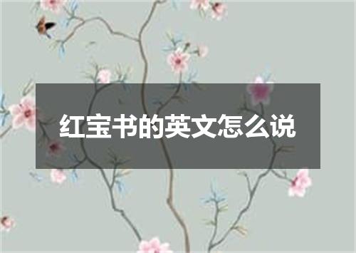 红宝书的英文怎么说