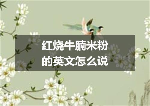 红烧牛腩米粉的英文怎么说