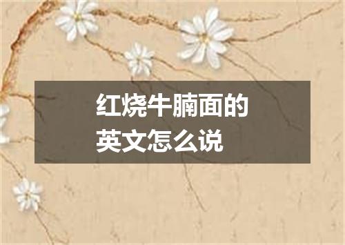 红烧牛腩面的英文怎么说