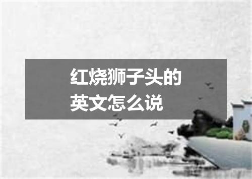 红烧狮子头的英文怎么说