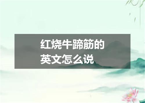红烧牛蹄筋的英文怎么说