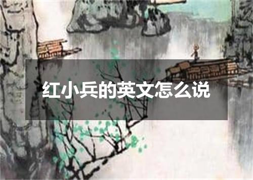 红小兵的英文怎么说
