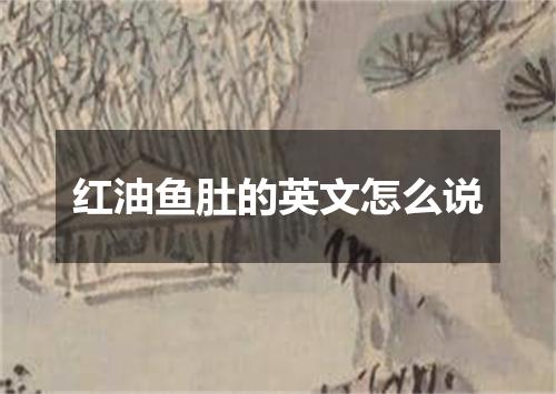 红油鱼肚的英文怎么说