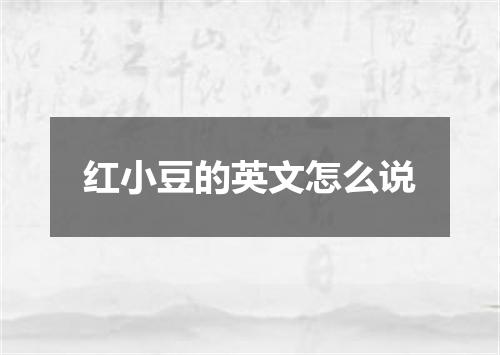 红小豆的英文怎么说
