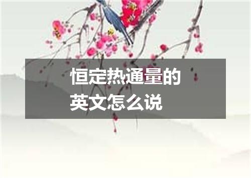 恒定热通量的英文怎么说