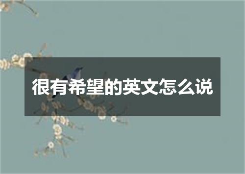 很有希望的英文怎么说
