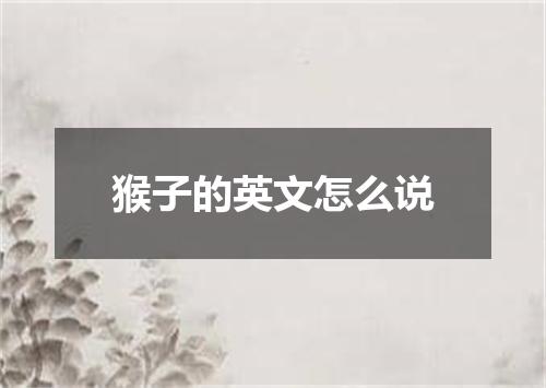 猴子的英文怎么说