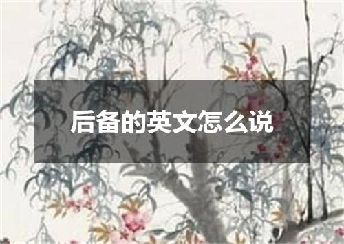后备的英文怎么说