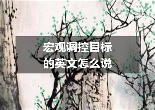 宏观调控目标的英文怎么说