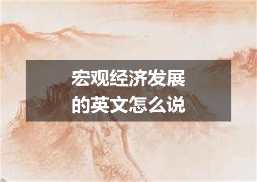 宏观经济发展的英文怎么说