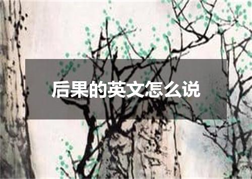 后果的英文怎么说