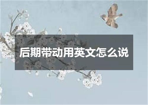 后期带动用英文怎么说
