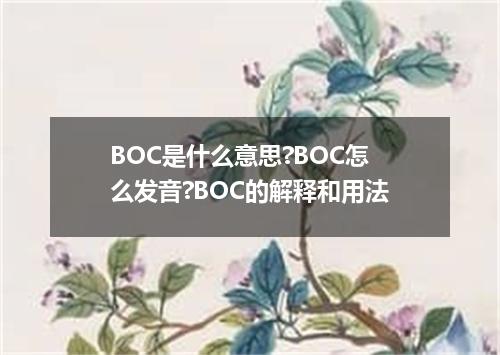 BOC是什么意思?BOC怎么发音?BOC的解释和用法