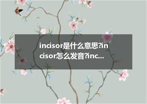 incisor是什么意思?incisor怎么发音?incisor的解释和用法