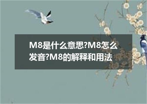 M8是什么意思?M8怎么发音?M8的解释和用法
