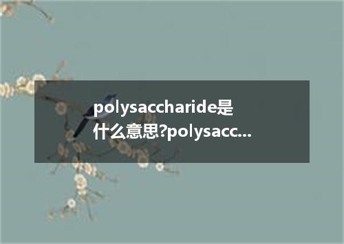 polysaccharide是什么意思?polysaccharide怎么发音?polysaccharide的解释和用法