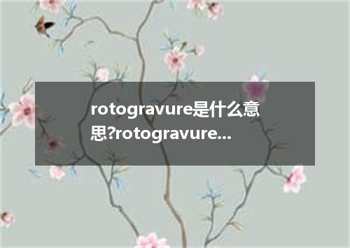rotogravure是什么意思?rotogravure怎么发音?rotogravure的解释和用法