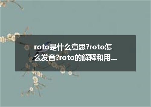 roto是什么意思?roto怎么发音?roto的解释和用法