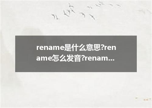 rename是什么意思?rename怎么发音?rename的解释和用法