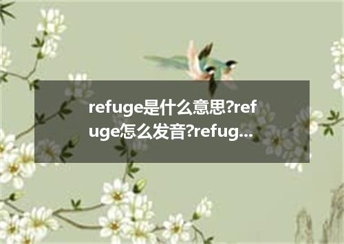 refuge是什么意思?refuge怎么发音?refuge的解释和用法