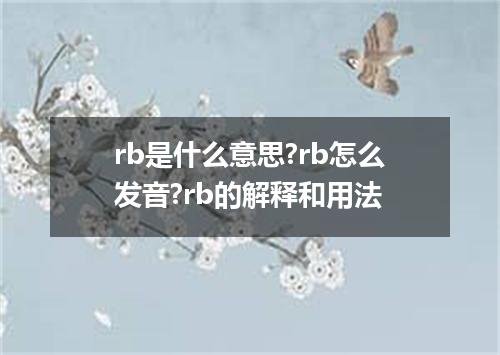 rb是什么意思?rb怎么发音?rb的解释和用法