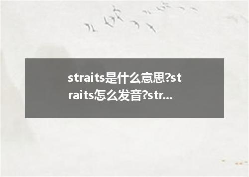 straits是什么意思?straits怎么发音?straits的解释和用法