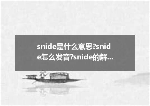 snide是什么意思?snide怎么发音?snide的解释和用法