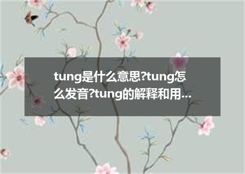 tung是什么意思?tung怎么发音?tung的解释和用法