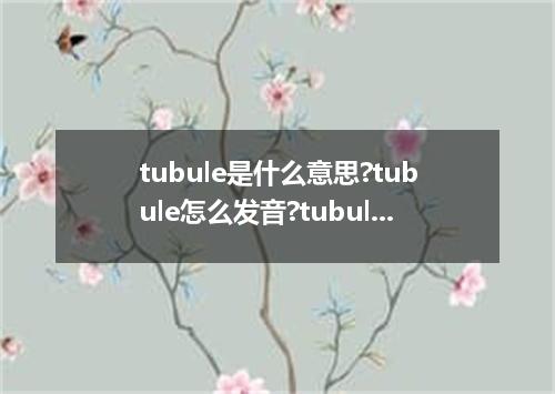 tubule是什么意思?tubule怎么发音?tubule的解释和用法