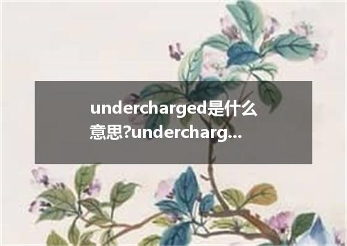 undercharged是什么意思?undercharged怎么发音?undercharged的解释和用法