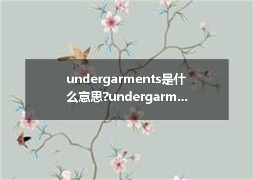 undergarments是什么意思?undergarments怎么发音?undergarments的解释和用法