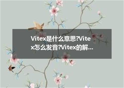 Vitex是什么意思?Vitex怎么发音?Vitex的解释和用法
