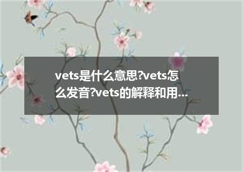 vets是什么意思?vets怎么发音?vets的解释和用法