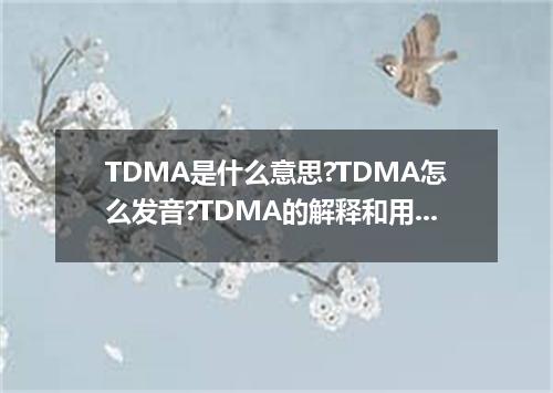 TDMA是什么意思?TDMA怎么发音?TDMA的解释和用法