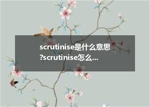 scrutinise是什么意思?scrutinise怎么发音?scrutinise的解释和用法