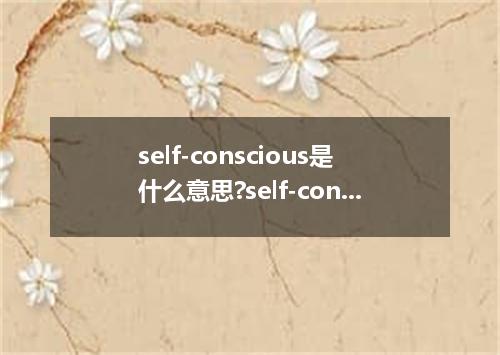 self-conscious是什么意思?self-conscious怎么发音?self-conscious的解释和用法